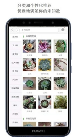 拍照识花免费下载手机软件