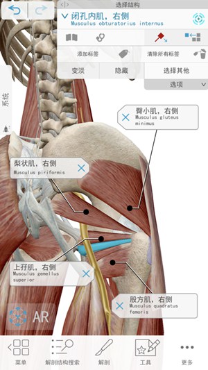 2021人体解剖学图谱app下载