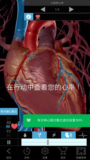 生理和病理学ios2021