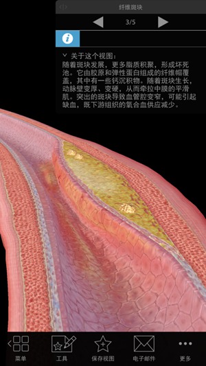 生理和病理学2021破解版