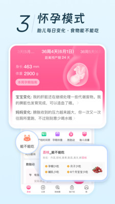 美柚app官方下载最新版安装