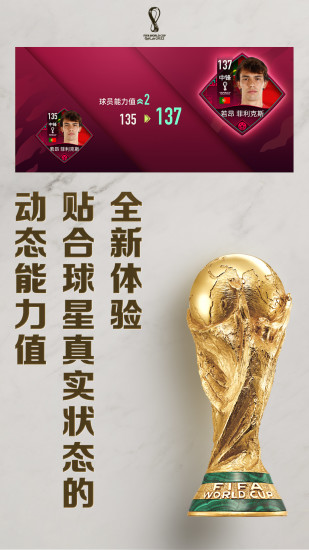 FIFA足球世界